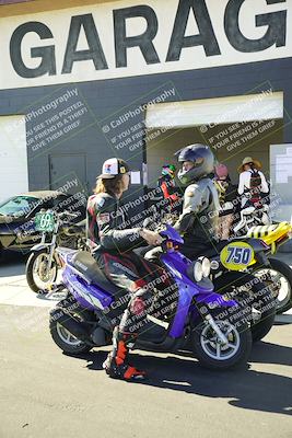 media/Oct-04-2025-Classic Track Days (Sat) [[b9f2049d9d]]/Around the Pits/